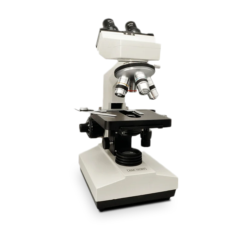 Microscopio binocular