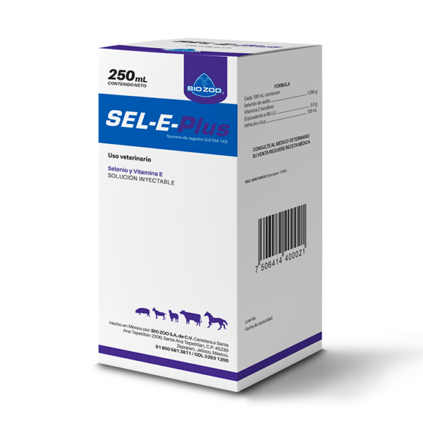 <span style="color: #626565;">SEL E PLUS </span><br><span style="color: #008581;">5%</span>
