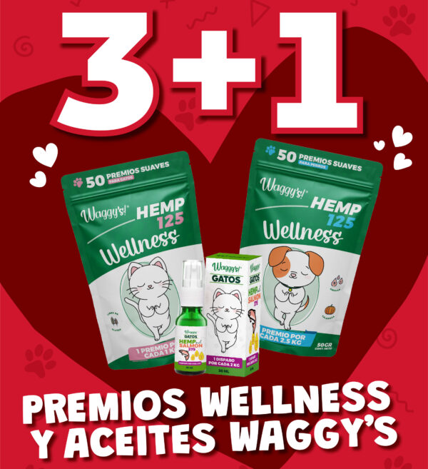 <span style="color: #626565;">PREMIOS WELLNESS Y ACEITES WAGGYS </span><br><span style="color: #008581;">3+1</span>