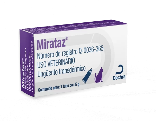 <span style="color: #626565;">MIRATAZ EN LA COMPRA DE DOS PIEZAS</span><br><span style="color: #008581;"> 20%*</span>