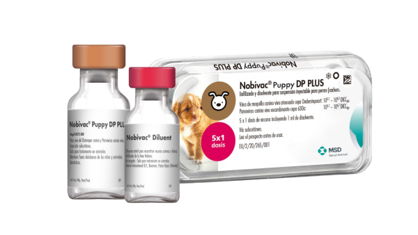 <span style="color: #626565;">NOBIVAC PUPPY DP PLUS </span><br><span style="color: #008581;"> 10+3</span>