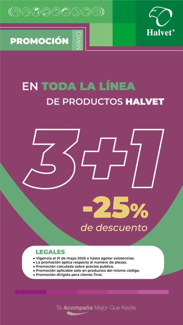 <span style="color: #626565;">EN TODA LA LÍNEA DE PRODUCTOS HALVET </span><br><span style="color: #008581;">3+1 MENOS EL 25%</span>