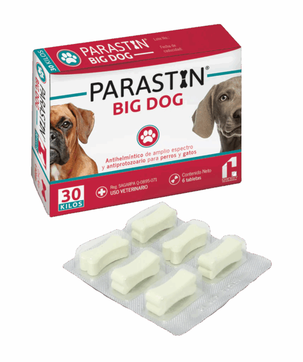 <span style="color: #626565;">PARASTIN BIG DOG </span><br><span style="color: #008581;">4+2</span>