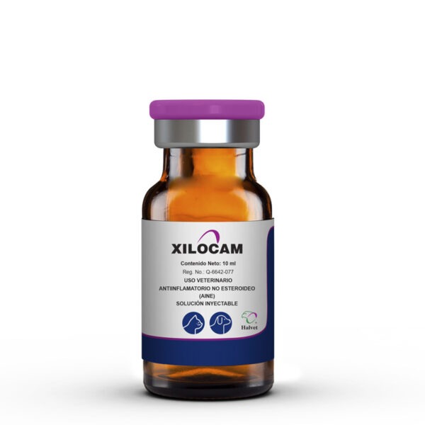 XILOCAM 10 ML