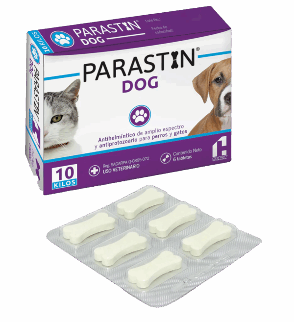 <span style="color: #626565;">PARASTIN DOG </span><br><span style="color: #008581;">4+2</span>