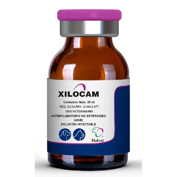 <span style="color: #626565;">XILOCAM 10, 20 Y 50 ML</span><br><span style="color: #008581;"> 3+2 Y ADEMÁS 25% DE DESCUENTO</span> - Imagen 2