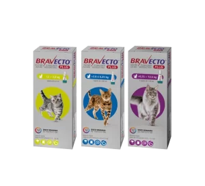 Bravecto plus gatos