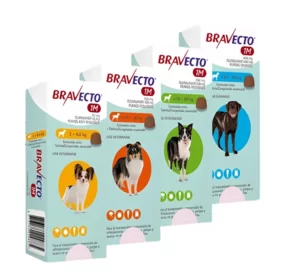 BRAVECTO 1M