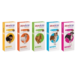 Bravecto Masticable