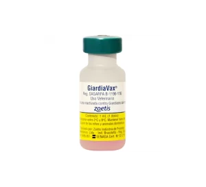 Giardiavax