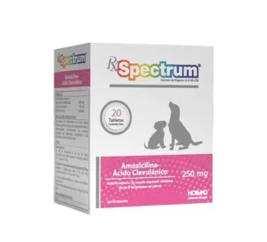 AMOXICILINA 250 MG