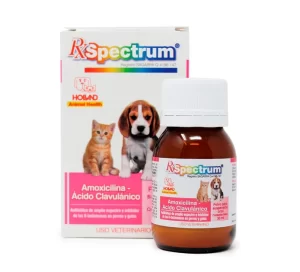 AMOXICILINA CLAVULANICO 30 ML