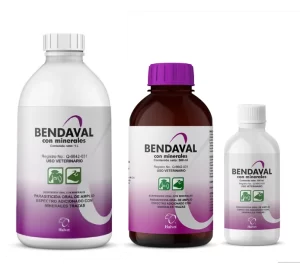 BENDAVAL CON MINERALES