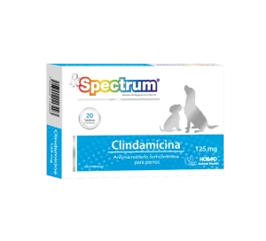 CLINDAMICINA 125 MG