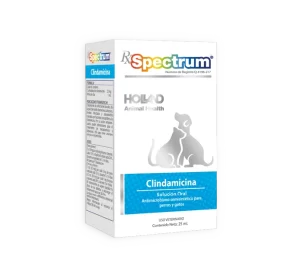 CLINDAMICINA SOLUCION