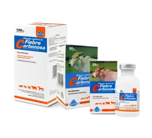 FIEBRE CARBONOSA