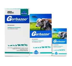 GORBAZOO