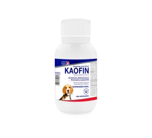 KAOFIN